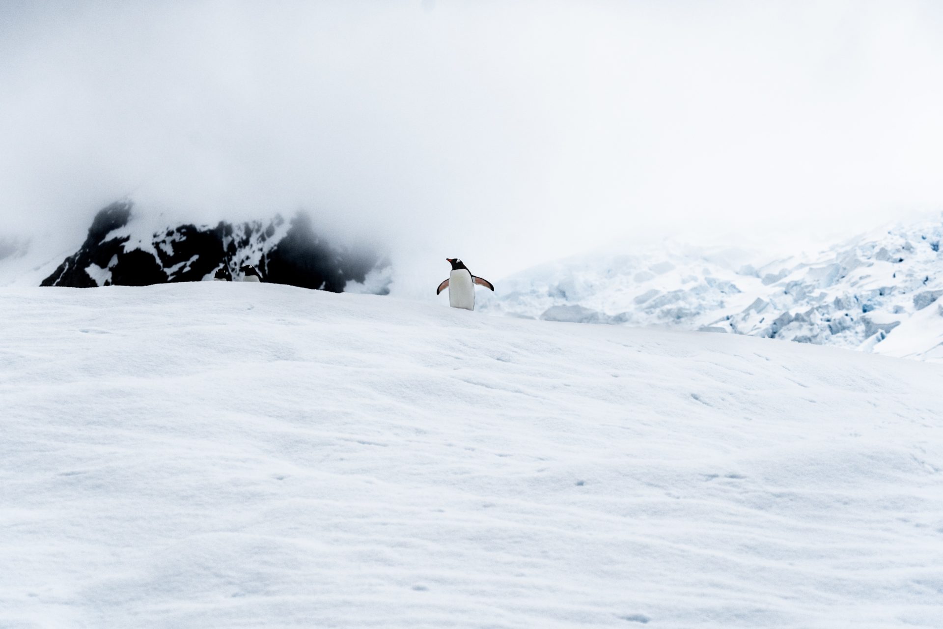 superyacht in antarctica