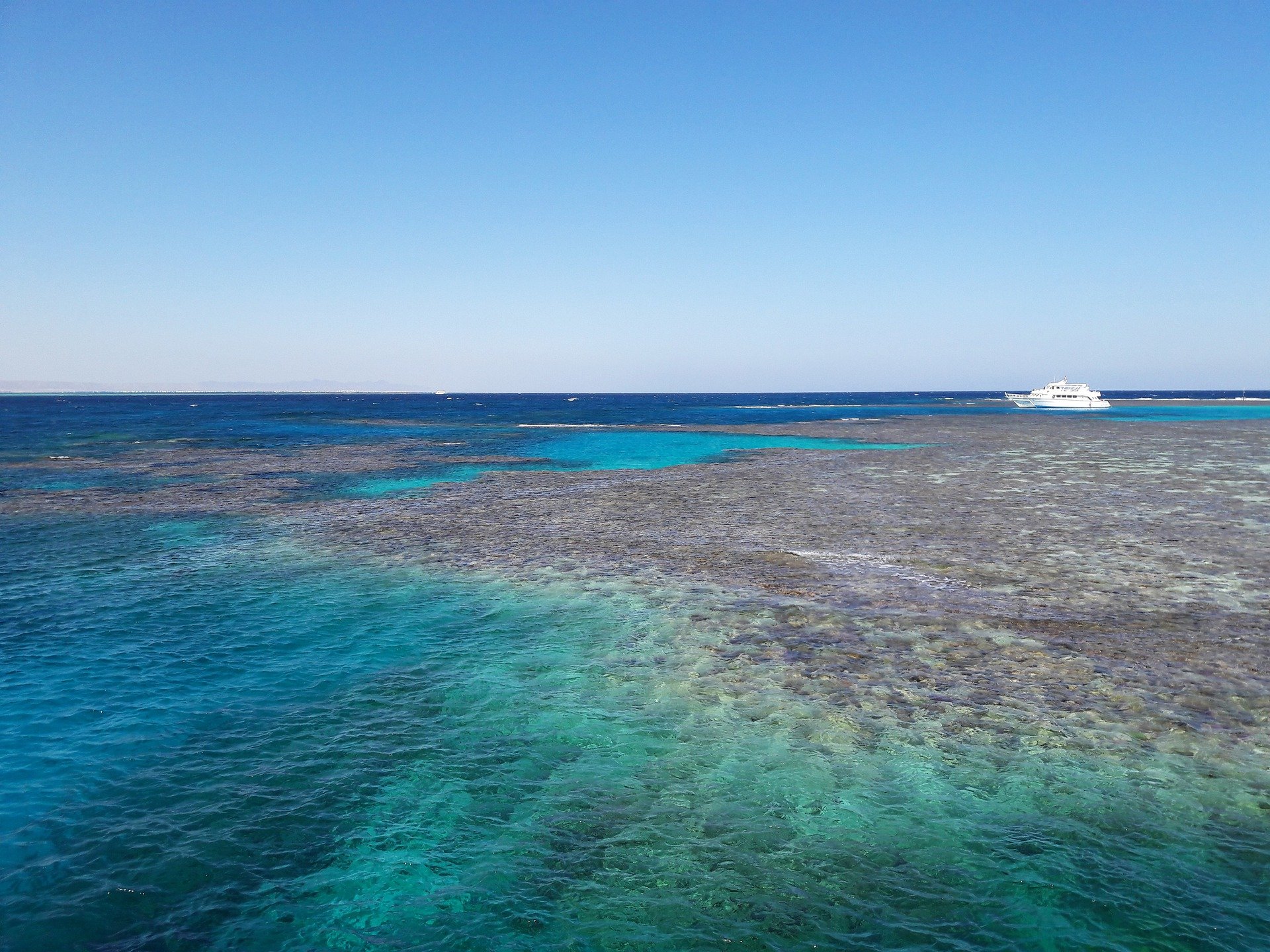 yachting in the red sea